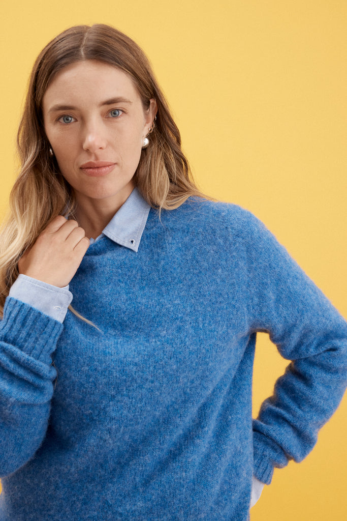 Alex Mill X J.Press Shaggy Dog Crew