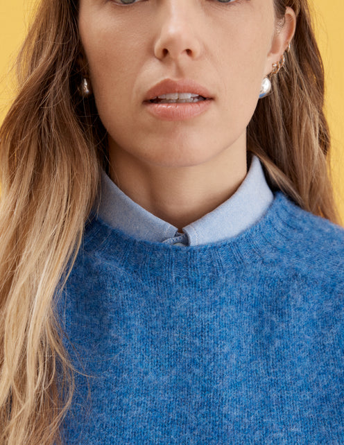 Alex Mill X J.Press Shaggy Dog Crew