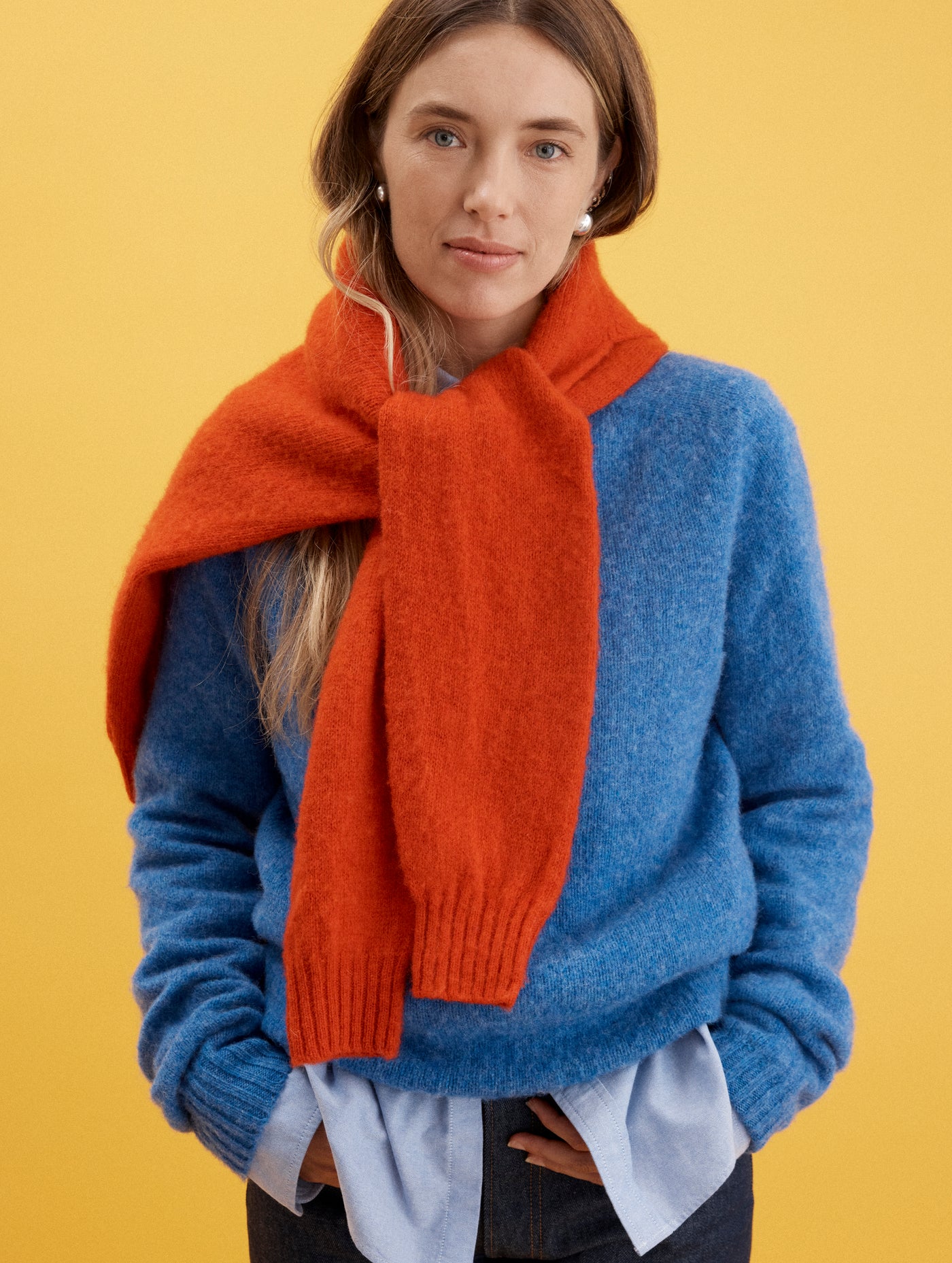 Alex Mill X J.Press Shaggy Dog Crew