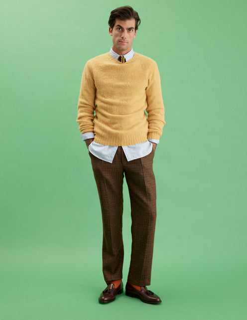 Alex Mill X J.Press Shaggy Dog Crew