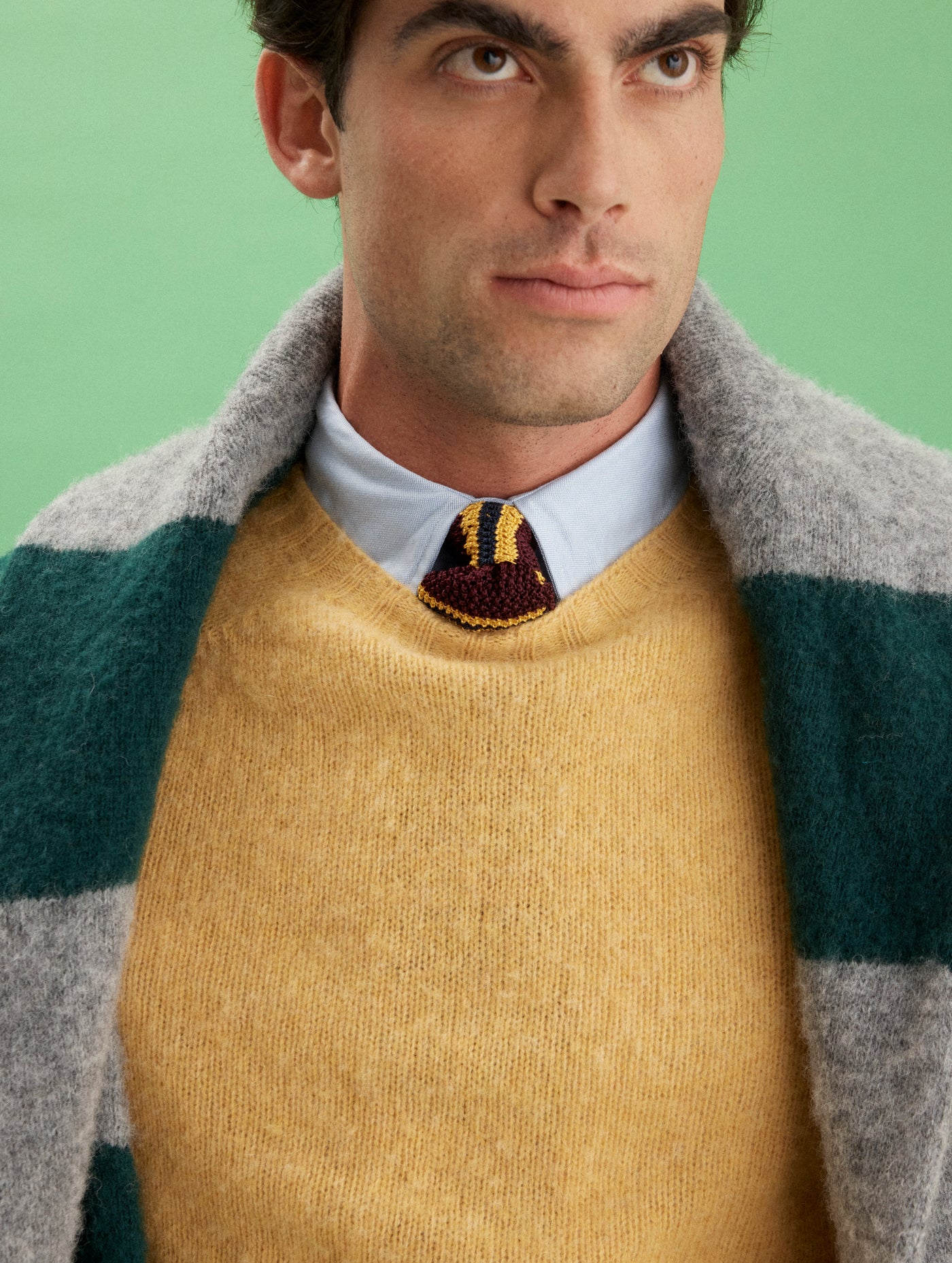 Alex Mill X J.Press Shaggy Dog Crew