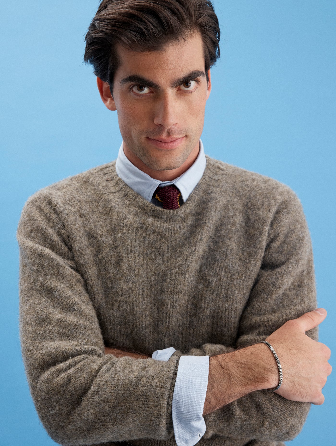 Alex Mill X J.Press Shaggy Dog Crew