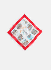 Travel Scarf In Cotton Voile