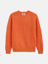 Alex Mill X J.Press Shaggy Dog Crew