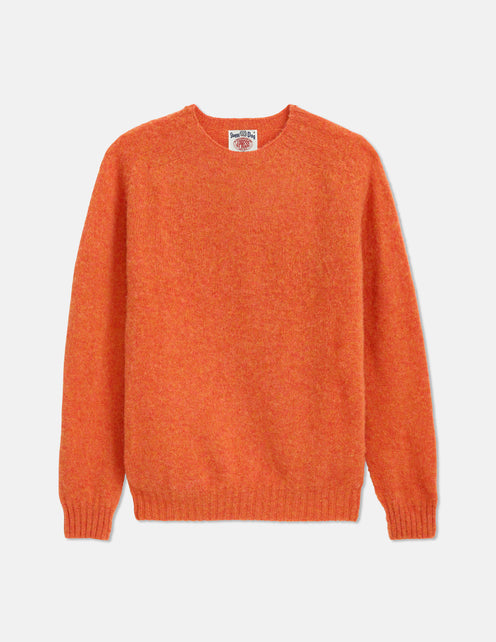 Alex Mill X J.Press Shaggy Dog Crew