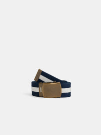 Striped Web Belt