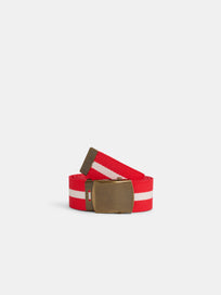 Striped Web Belt
