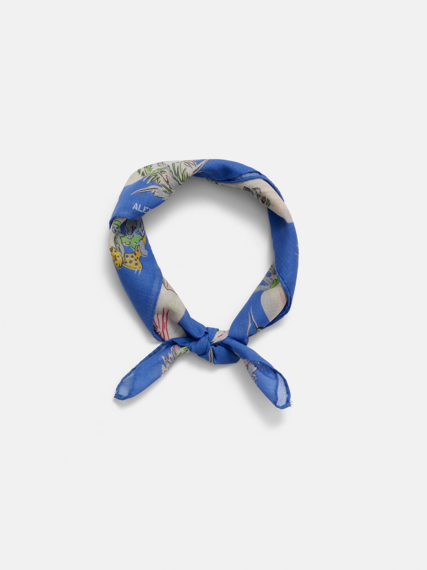 Travel Scarf In Cotton Voile