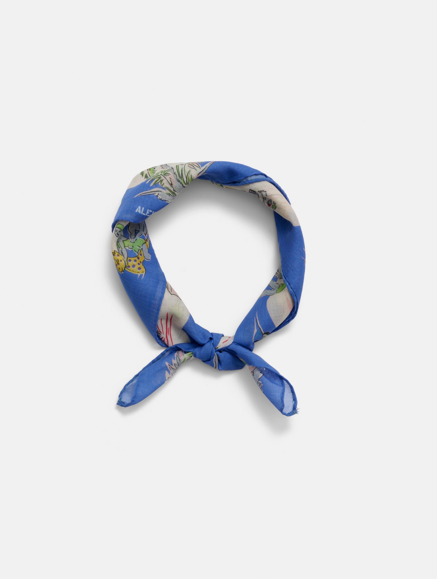 Travel Scarf In Cotton Voile