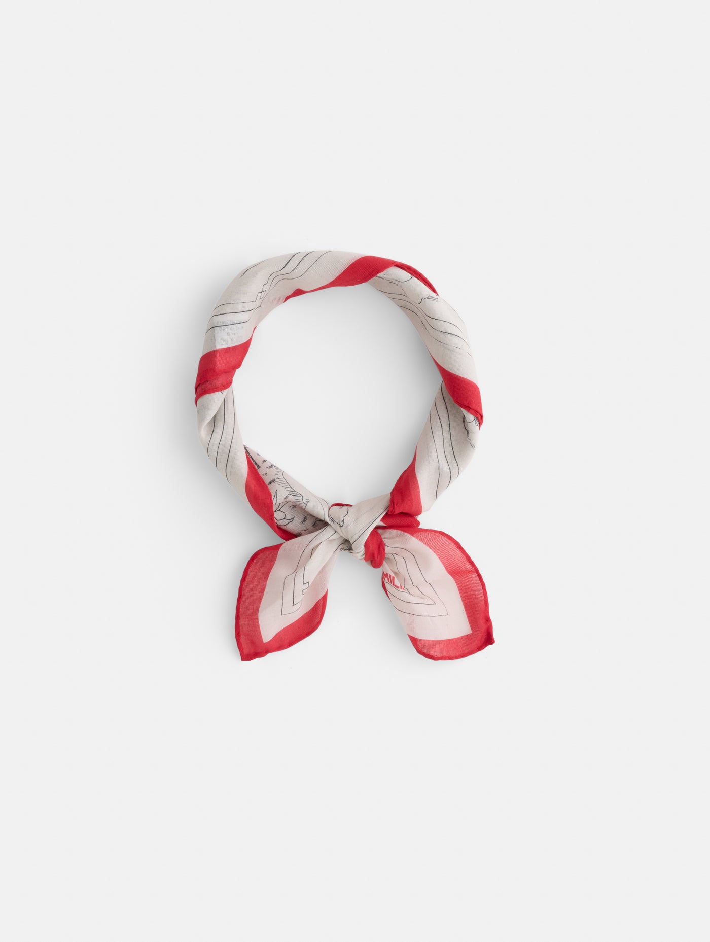 Travel Scarf In Cotton Voile