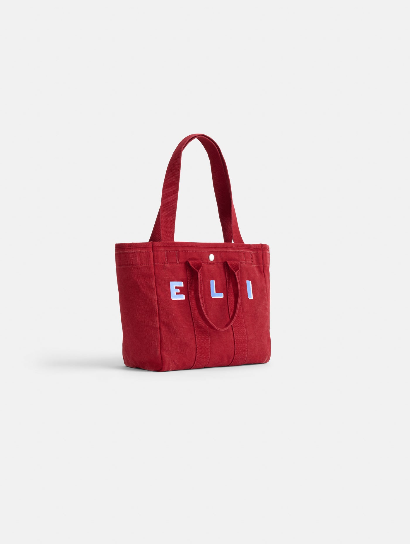 Painted Perfect Daily Tote