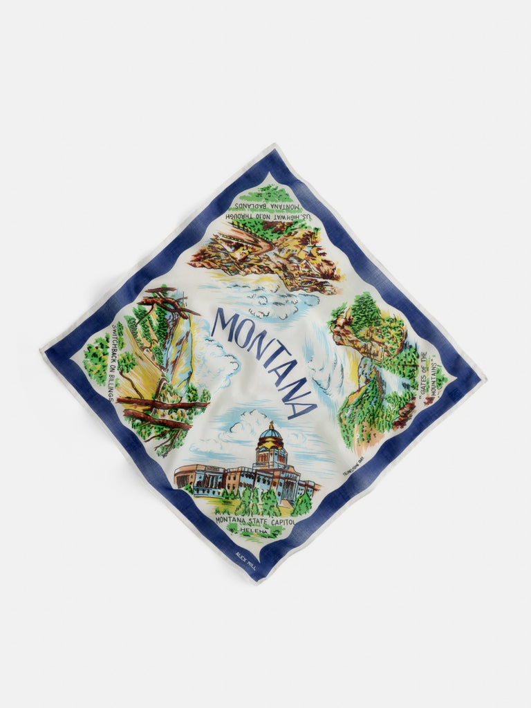 Travel Scarf In Cotton Voile from Alex Mill - $45