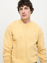 Garment Dye Raglan Sweatshirt in Cotton Fleece