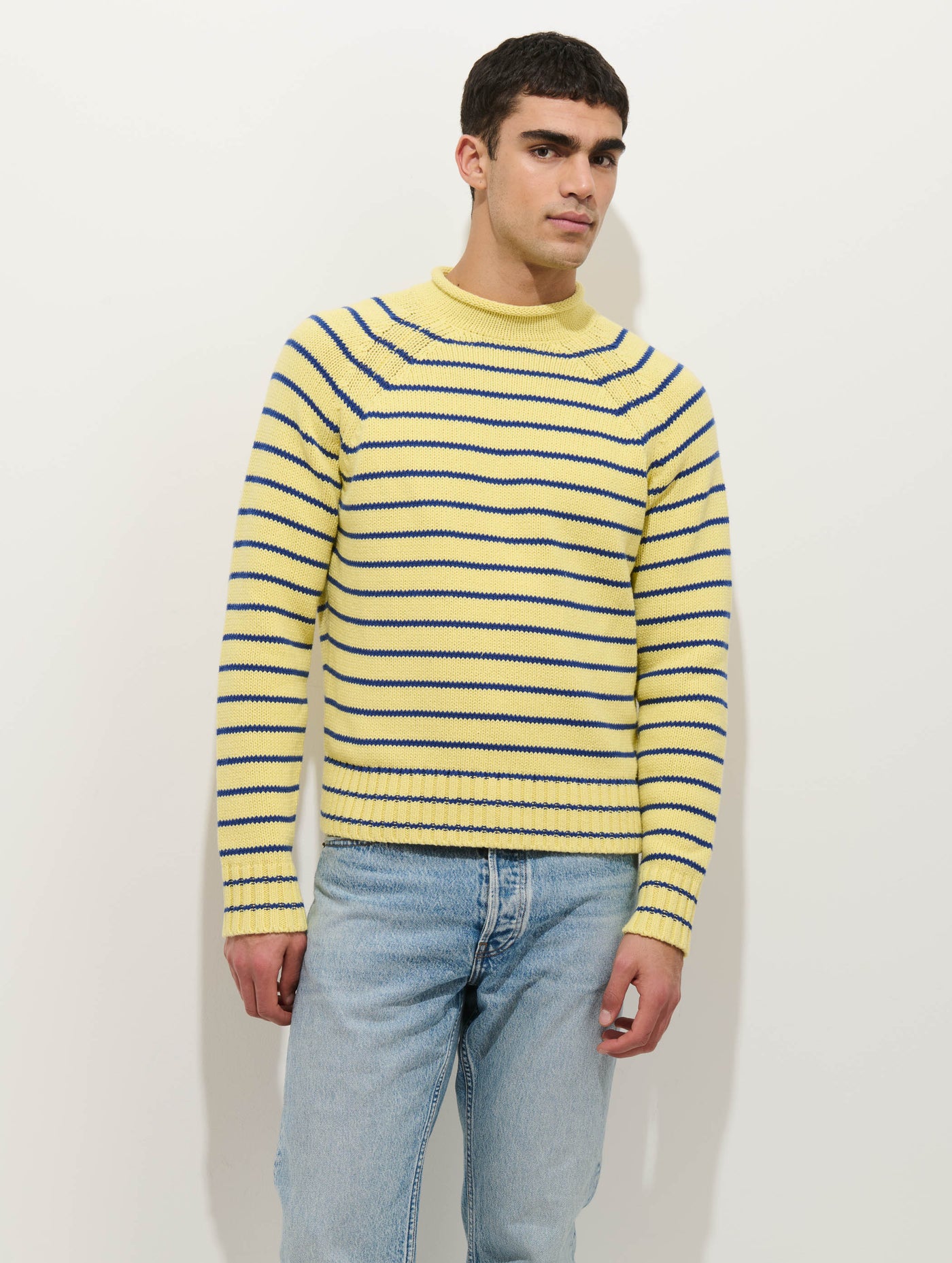 Alex Striped Rollneck In Cotton