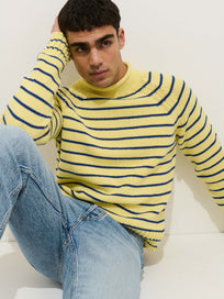 Alex Striped Rollneck In Cotton