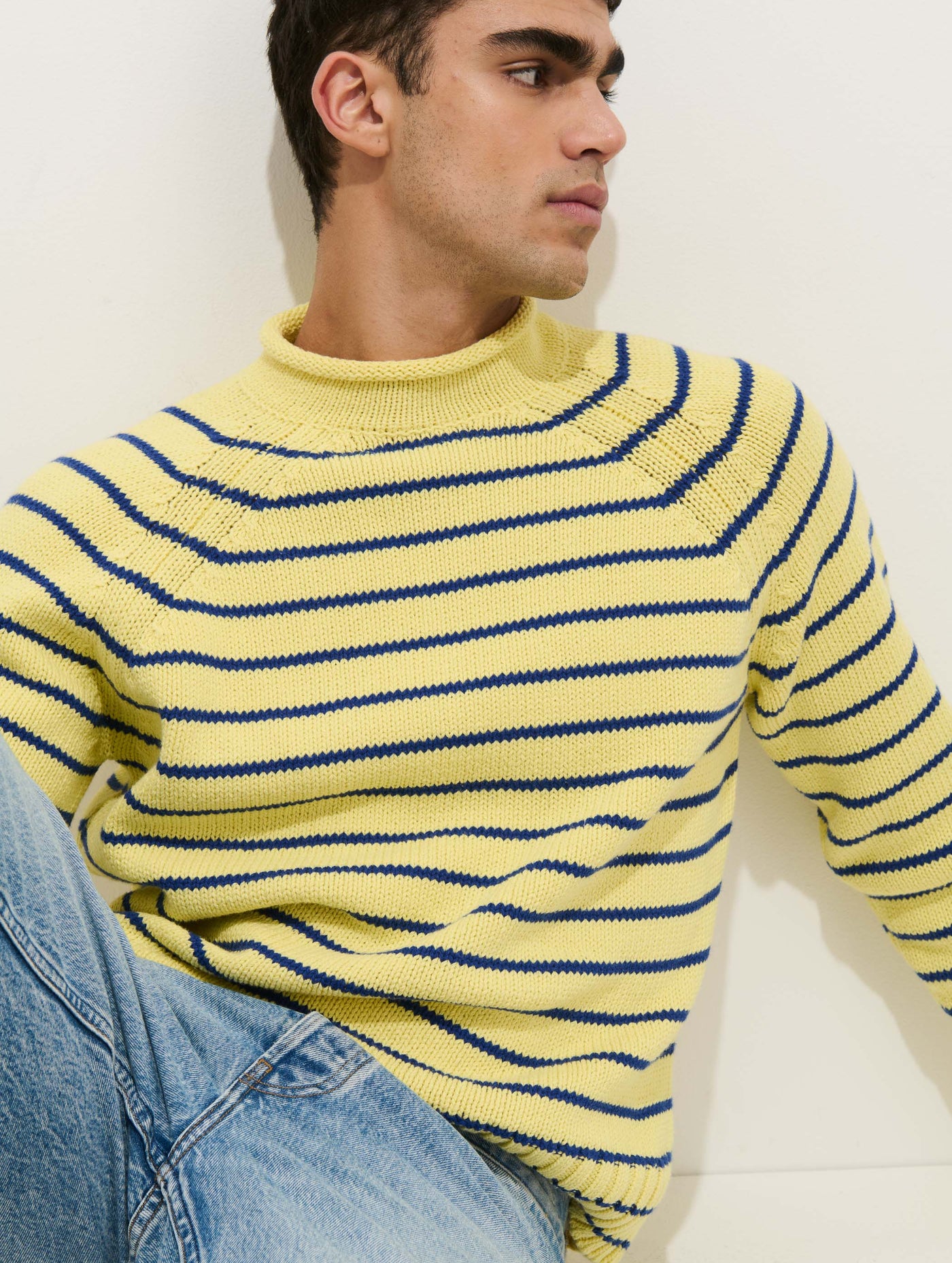 Alex Striped Rollneck In Cotton