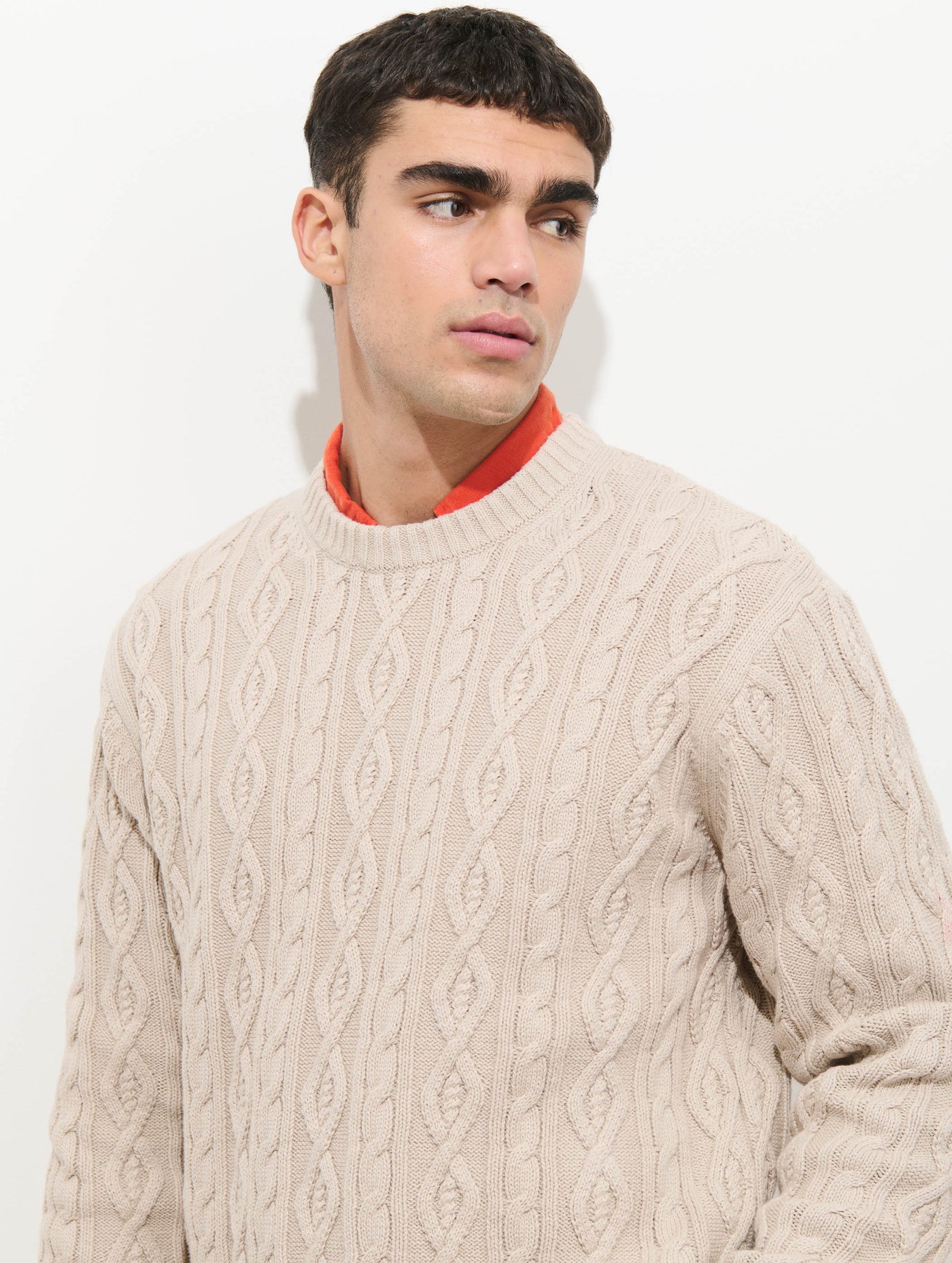 Aaron Cable Sweater in Cotton