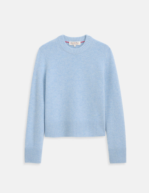 Marais Crewneck Sweater In Cashmere